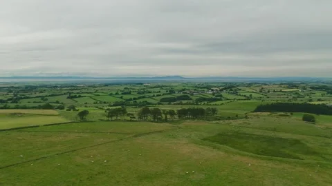 Aerial view of rolling green fields under a cloudy sky. Pasturelands stretch Stock Footage 346087919