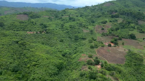 Aerial View of Rolling Green Hills and Scattered Farms in African Landscape 스톡 동영상 336024643