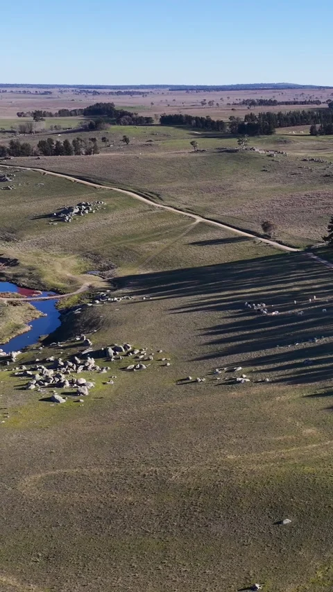 Aerial View of Rolling Green Hills and Dirt Road in Uralla Stock Footage 341300988