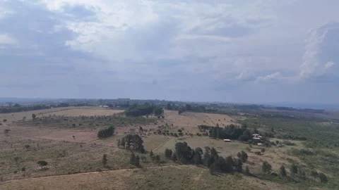 Aerial View of Rolling Hills and Forest Landscape Stock Footage 325593546