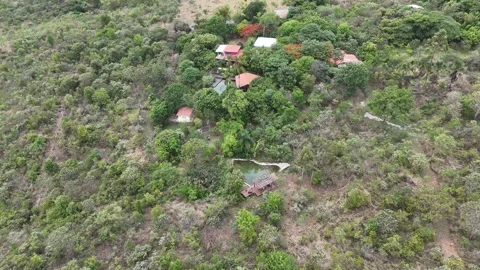 Aerial View of Rolling Hills and Forest Landscape Stock Footage 325593632
