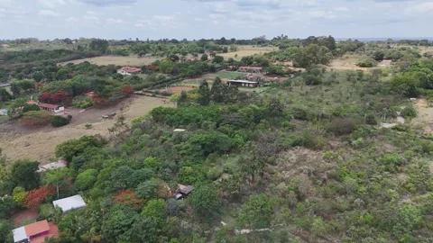 Aerial View of Rolling Hills and Forest Landscape Stock Footage 325593660