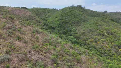 Aerial View of Rolling Hills and Forest Landscape Stock Footage 325593751