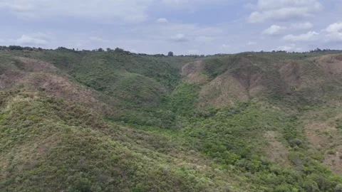 Aerial View of Rolling Hills and Forest Landscape Stock Footage 325593753
