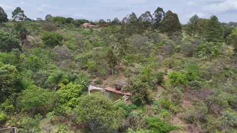 Aerial View of Rolling Hills and Forest Landscape Stock Footage 325593759