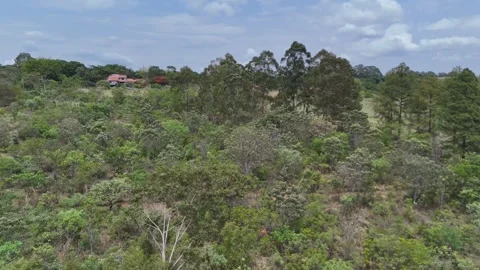 Aerial View of Rolling Hills and Forest Landscape Stock Footage 325593790