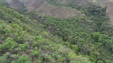 Aerial View of Rolling Hills and Forest Landscape Stock Footage 325607759