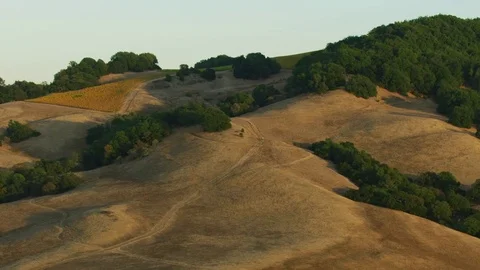 Aerial view of rolling hills rural California countryside Stock Footage 83928126