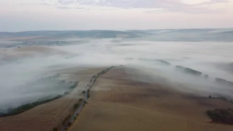 Aerial view of rolling landscape in a soft early morning light. Stock-Footage 95003535