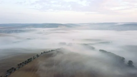 Aerial view of rolling landscape in a soft early morning light. Stock Footage 95003869