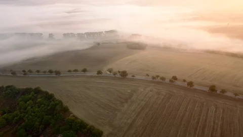 Aerial view of rolling landscape in a soft early morning light. Stock Footage 95004522