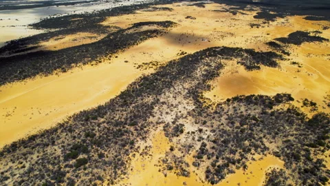 Aerial View of Rolling Sand Dunes and Vegetation in a Desert Landscape During Stock Footage 266644609