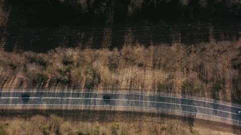 Aerial view of rotating drone over a straight asphalt road with markings Stock Footage 153521460