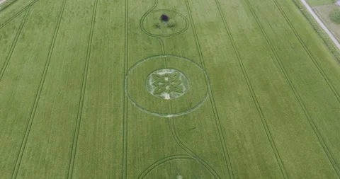 Aerial view rotating over Sutton Veny Wiltshire Celtic crop circle 2025 with Stock Footage 310362092