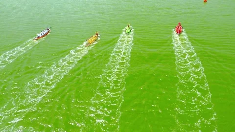 Aerial view of the rougher competition between the teams on rowing boats on the Stock Footage 154906686