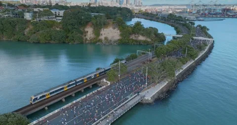 Aerial view of Round the bays fun run along a coastal road in Auckland, New Stock-Footage 303445127