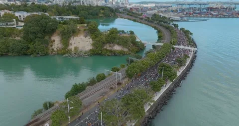 Aerial view of Round the bays fun run along a coastal road in Auckland, New Stock-Footage 303446785