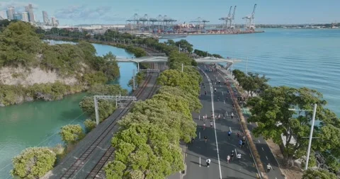 Aerial view of Round the bays fun run along a coastal road in Auckland, New Stock-Footage 303446815