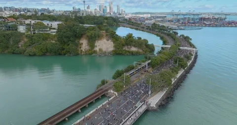 Aerial view of Round the bays fun run along a coastal road in Auckland, New Stock-Footage 303446834