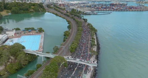 Aerial view of Round the bays fun run along a coastal road in Auckland, New Stock-Footage 303447510