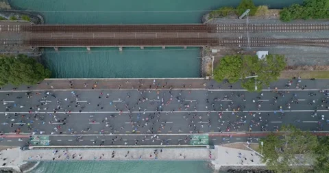 Aerial view of Round the bays fun run along a coastal road in Auckland, New Stock-Footage 303447694