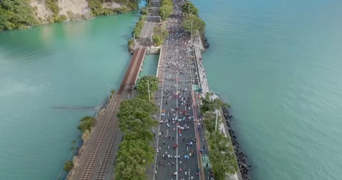 Aerial view of Round the bays fun run along a coastal road in Auckland, New Stock-Footage 303447738