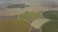 Aerial View Of Round Crop Circles Stock Footage
