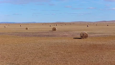 Aerial view of round hay bales on autumn prairie Stock Footage 345720412