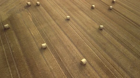 Aerial view of round straw bales arranged in neat rows across a golden field, Stock Footage 341767088