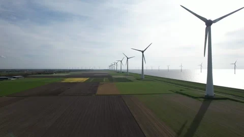 Aerial view of row of wind mills and Tulip fields in the Netherlands. Stock Footage 274170823