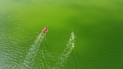 Aerial view of a rowing boat competition, one of which erroneously changes its Stock Footage 155161853