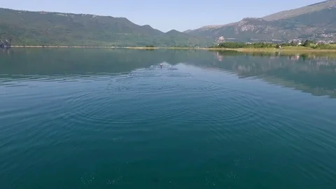 Aerial view of Rowing boat on lake Video stock 80333480