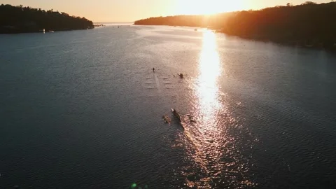 Aerial view Rowing club practicing in the ocean bay at sunrise early in morning Stock Footage 263663838