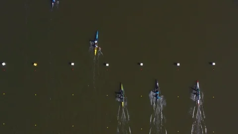 Aerial view of rowing competition in the rowing channel Stock Footage 107374987