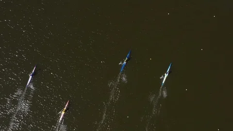 Aerial view of rowing competition in the rowing channel Stock Footage 107376198