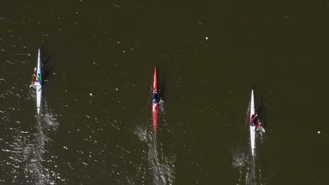 Aerial view of rowing competition in the rowing channel Stock Footage 107376372