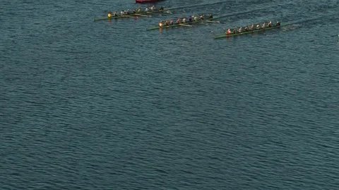 Aerial view rowing crews racing Charles river Boston Stock Footage 83874454