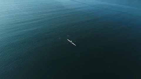 Aerial View Rowing Team Training At Sunrise In Halifax Bay, Nova Scotia, Canada Stock Footage 317901281