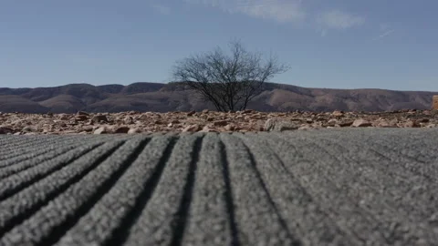 Aerial view of rows in front, rocks, and a tree Stock Footage 191022103
