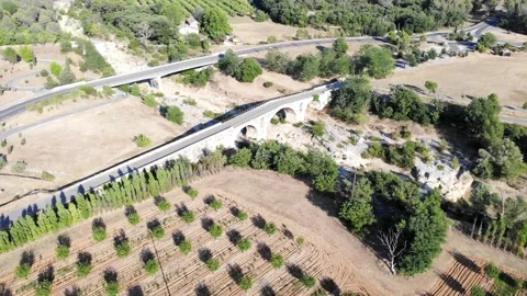 Aerial view of rows of fruit trees in Provence, Southern France Stock Footage 316885074