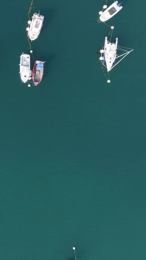 Aerial view of rows of small boats and yachts moored in the calm, deep blue Stock Footage 346663103