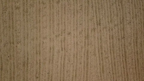 Aerial view ; Rows of soil before planting.Furrows row pattern in a plowed field Stock Footage 79292265