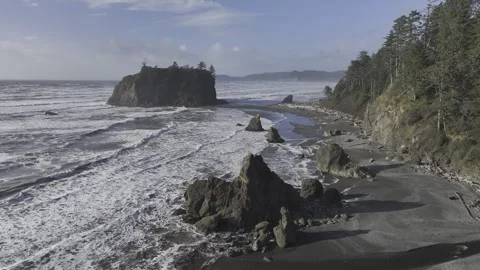 Aerial view of Rubby Beach in Olympic national park,USA 스톡 동영상 334591951