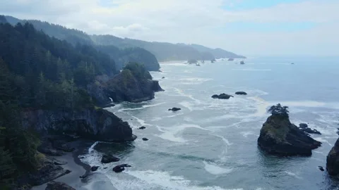 Aerial view of rugged forested coastline and sea stacks Stock Footage 343558133