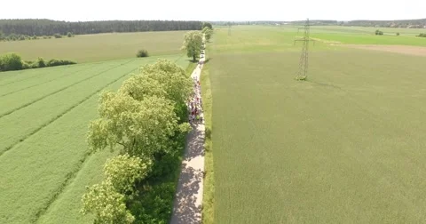 Aerial view of runners. Stock Footage 51358973