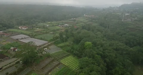 Aerial View of Rural Agricultural Fields in Mist and Fog Stock Footage 277211348