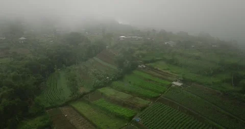 Aerial View of Rural Agricultural Fields in Mist and Fog Stock Footage 277560086