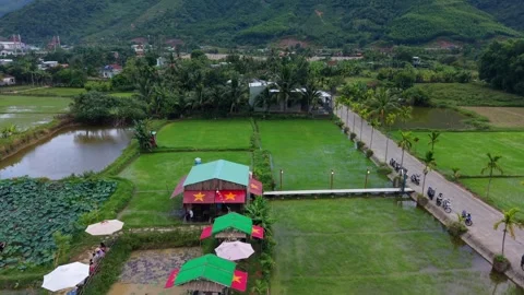 Aerial View of Rural Cafe Surrounded by Rice Fields in Vietnam Stock Footage 336610518