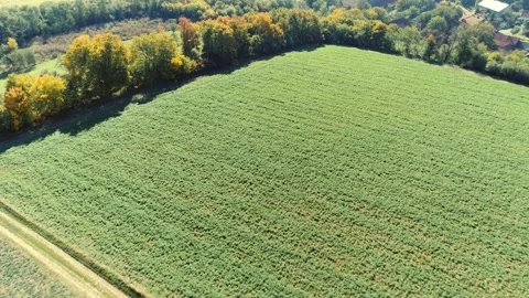 Aerial view of rural countryside with fields and open landscape Stock Footage 327072014