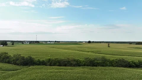 Aerial view of rural farm fields and crops on a beautiful blue sky summer day wi Stock-Footage 281614636